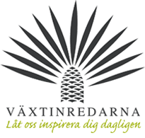 Växtinredarna tips på GreenStyling utekrukor inne krukor växtvägg