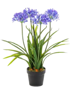 Flora World