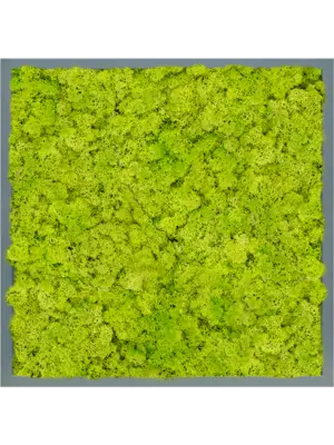 Moss Painting