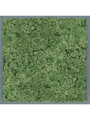Moss Painting