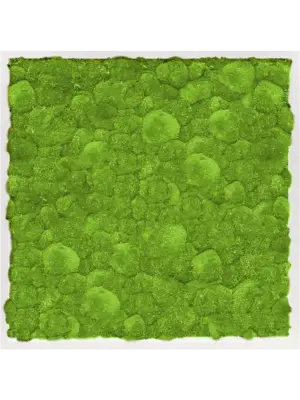 Moss Painting