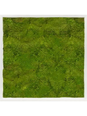 Moss Painting