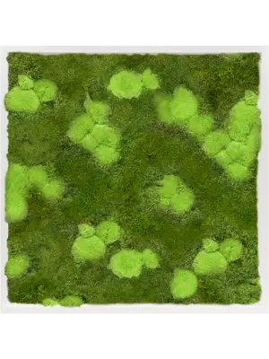 Moss Painting