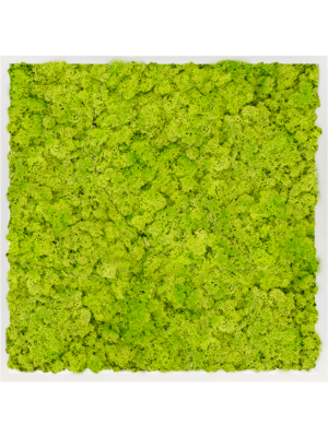 Moss Painting