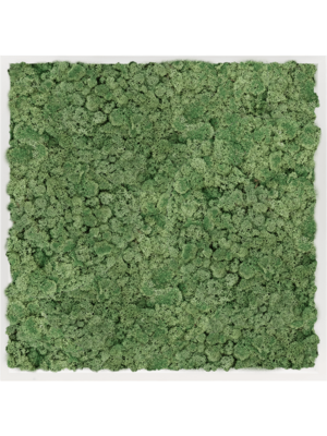 Moss Painting