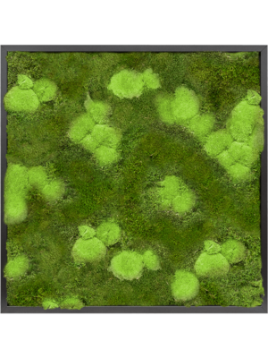 Moss Painting