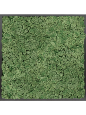 Moss Painting
