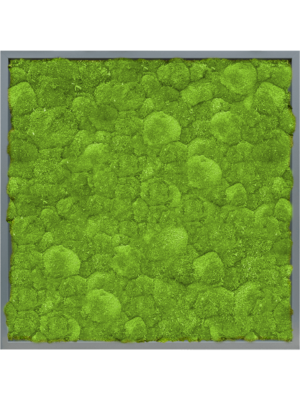 Moss Painting