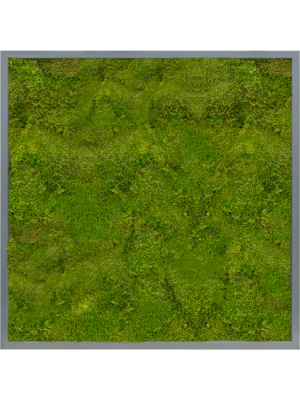 Moss Painting
