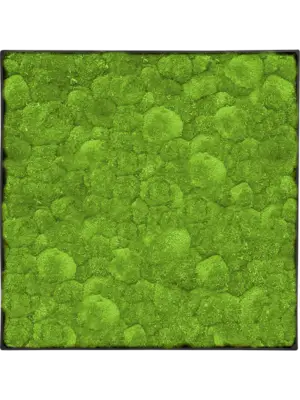 Moss Painting