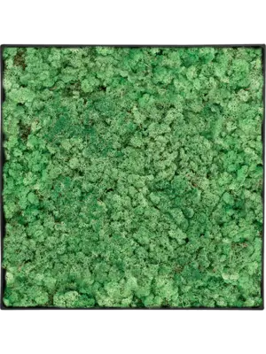 Moss Painting