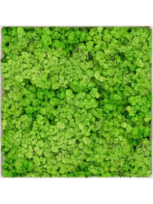 Moss Painting