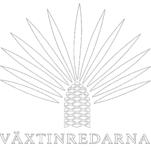 Växtinredarna