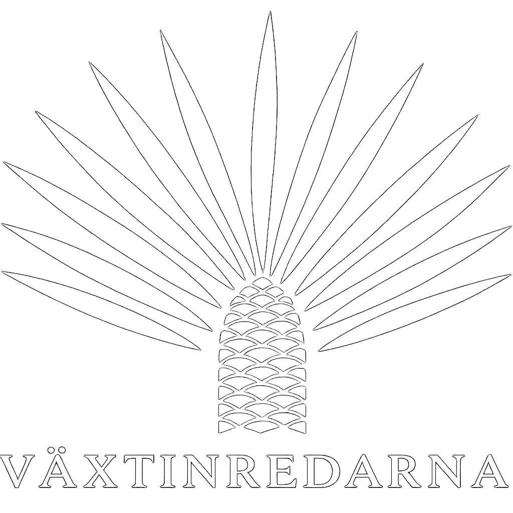 vaxtinredarna-vit