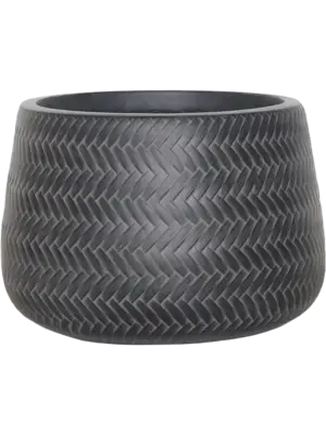 Darcy Anthracite