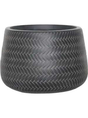 Darcy Anthracite