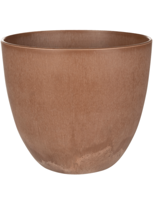 Bola Pot Oak