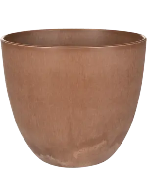Bola Pot Oak