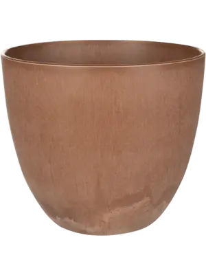 Bola Pot Oak
