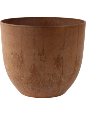 Bola Pot Oak