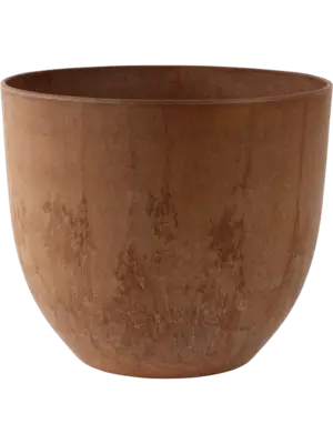 Bola Pot Oak