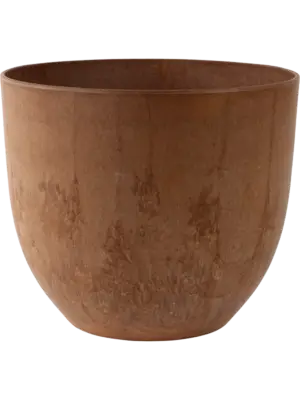 Bola Pot Oak