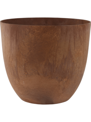 Bola Pot Oak