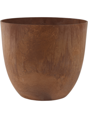 Bola Pot Oak