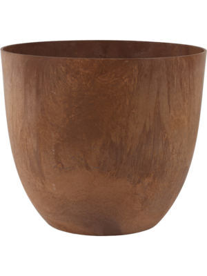 Bola Pot Oak