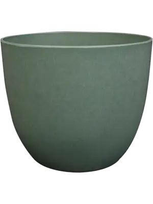 Bola Pot Thyme