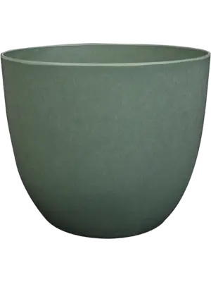 Bola Pot Thyme