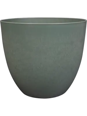 Bola Pot Thyme
