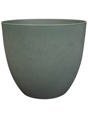 Bola Pot Thyme