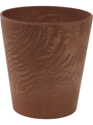 Claire Pot Oak