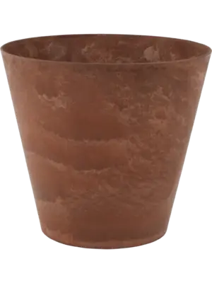 Claire Pot Oak