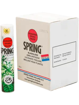 Spring Leafshine Carton (12 pcs. 600ml)