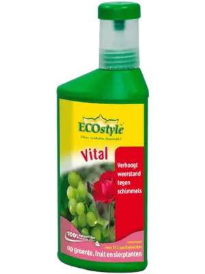 Vital 250 ml. Concentrate
