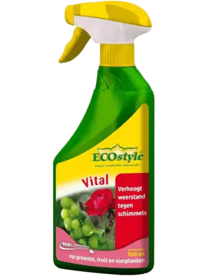 Vital 500 ml. RTU