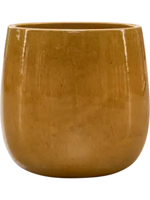 Pot Honey