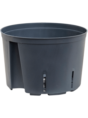 Hydroculture 2 ltr.