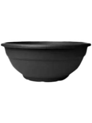Andromeda Bowl