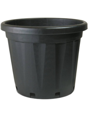 ETNA 15 ltr.