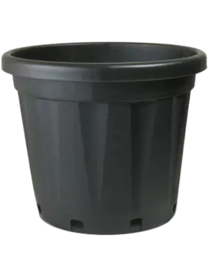 ETNA 65 ltr.