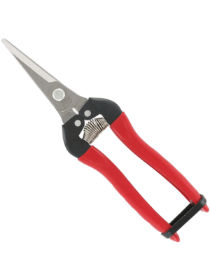 19 cm