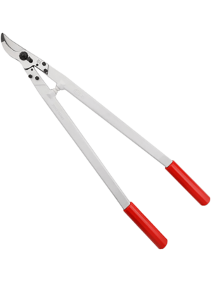 63 cm