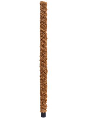 120 CM