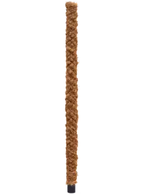120 CM