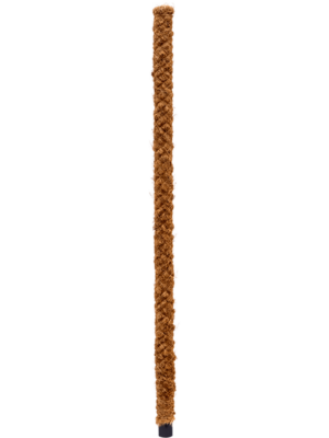 150 CM