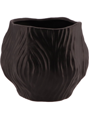 Black Pot