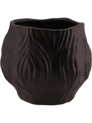 Black Pot